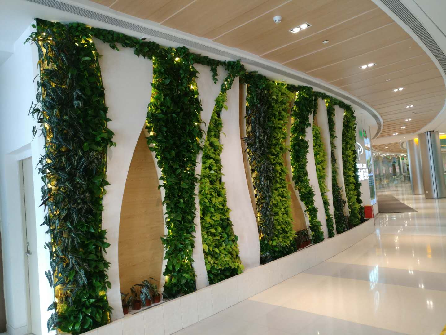 青海：强化六项修复举措 重塑企业守信形象