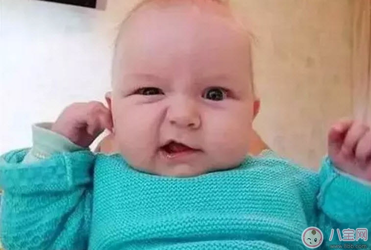 “一岛一策”！万山镇精准防控蚊媒传染病