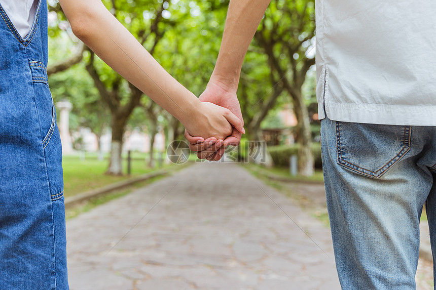 广东发布岭南特色现代农业调研报告,种业、农机、海洋牧场有了破局方向