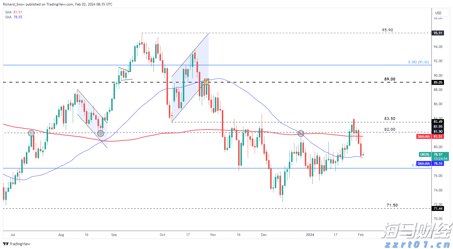 深耕创作沃土 讲好徐闻故事