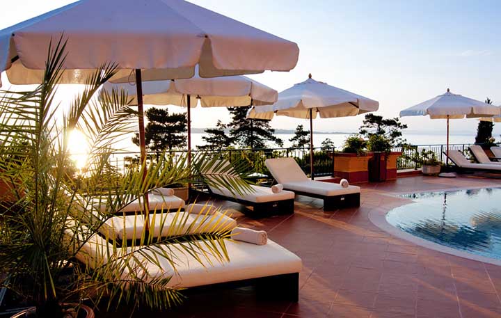 校企深度合作,广东科贸职业学院农村科技特派员团队助力龙颈镇乡村产业振兴