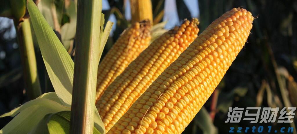 友邦人寿安徽分公司盛大开业,开启健康长久好生活新篇章