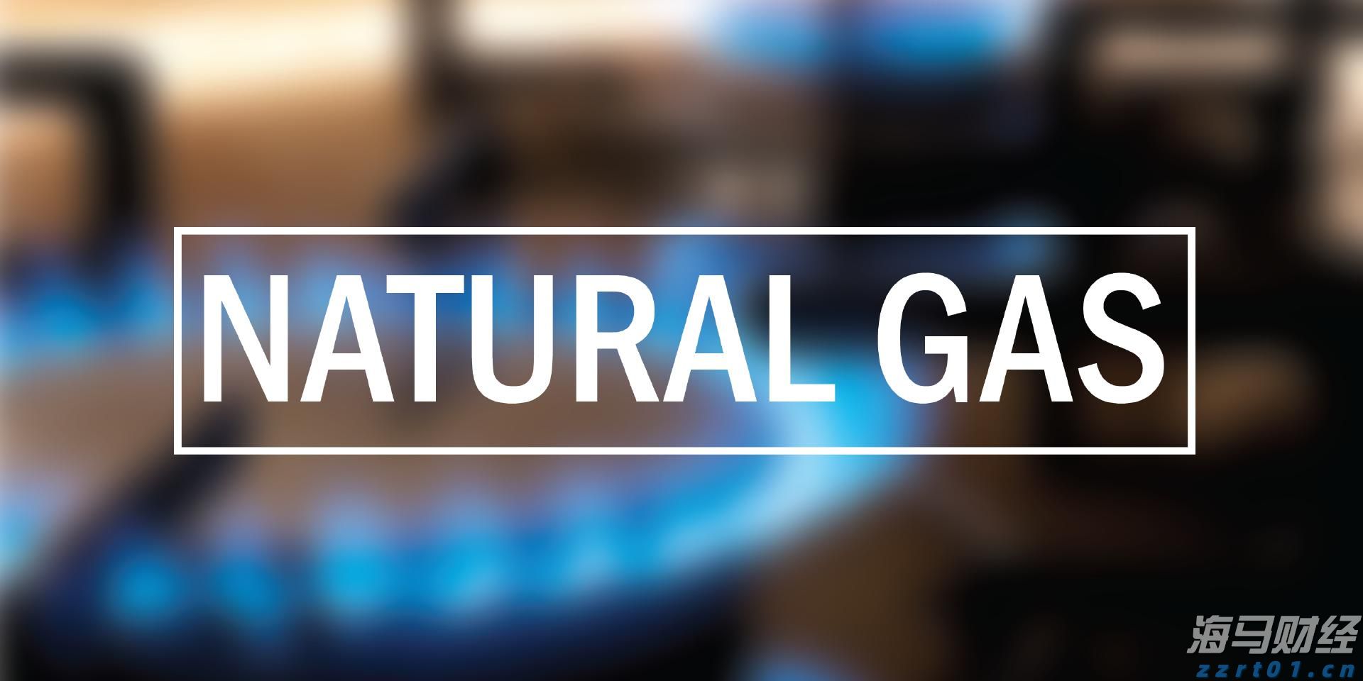 贵港市人民代表大会常务委员会任免名单