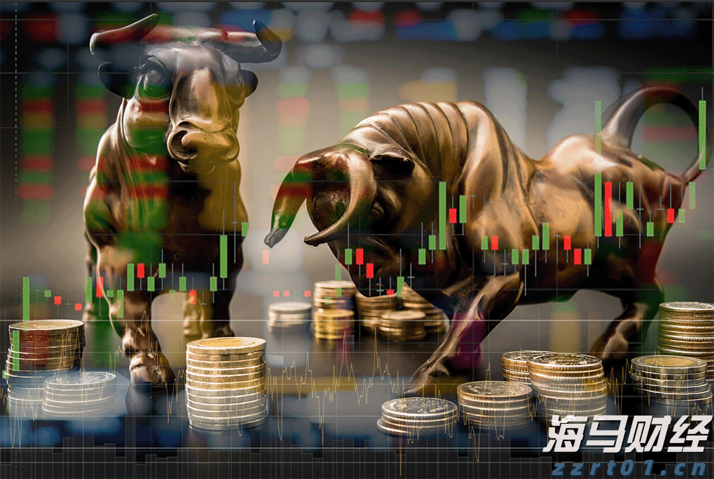 贴心专业服务 让赛事更具温度!十五运会梅州赛区“小海豚”用坚守点亮赛事