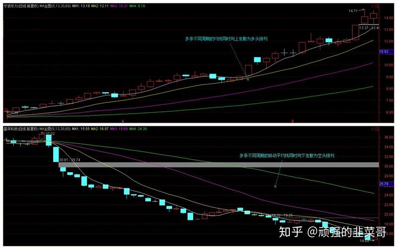 延长!扩大!上海食品安全“守、查、保”专项行动覆盖全域全年