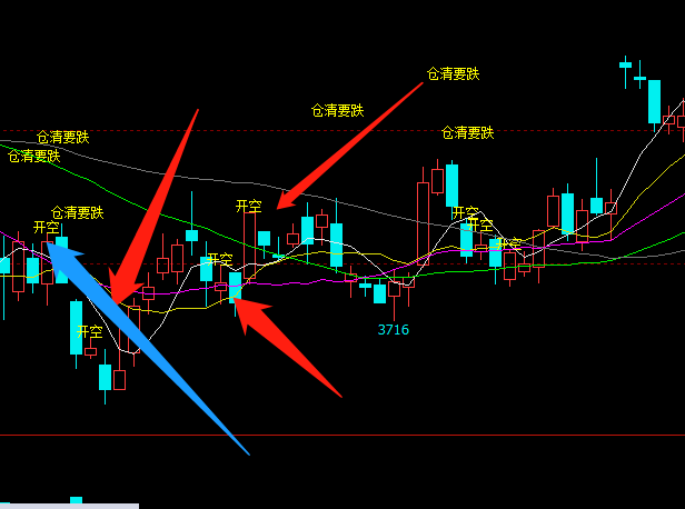 从“大”到“优”，看广东冬瓜种业如何“育见”未来