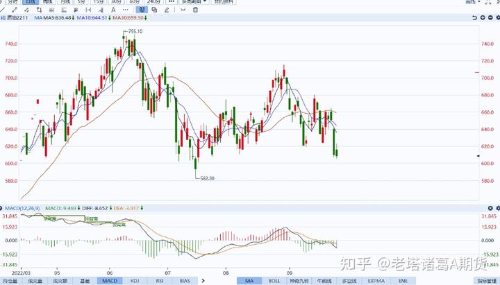 视频|潮玩岭南:西牛麻竹笋,真的好笋