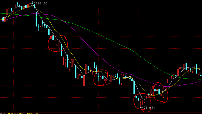 团市委“相约星期六”七夕升级，“联动全城”为青年精准“牵线”