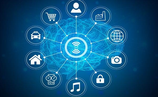 国产抹茶出口内销两旺,2025年产量将超5000吨