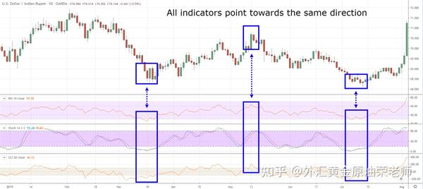 首批美丽广东生态文旅线路名单公布  湛江有1条线路榜上有名
