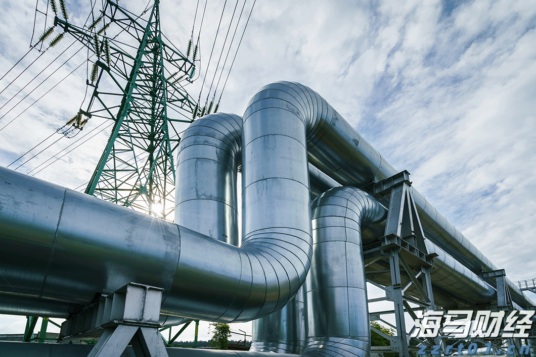 广东省出台保护鸟类工作方案 全力守护野生动物生存空间