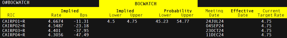 迎妈祖,敬大海!博贺渔港热闹不停,万事俱备只待明日开渔