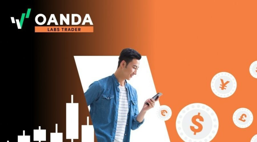 珠海传媒集团对珠海市2023年度市本级预算执行和其他财政收支审计查出问题整改结果的公告