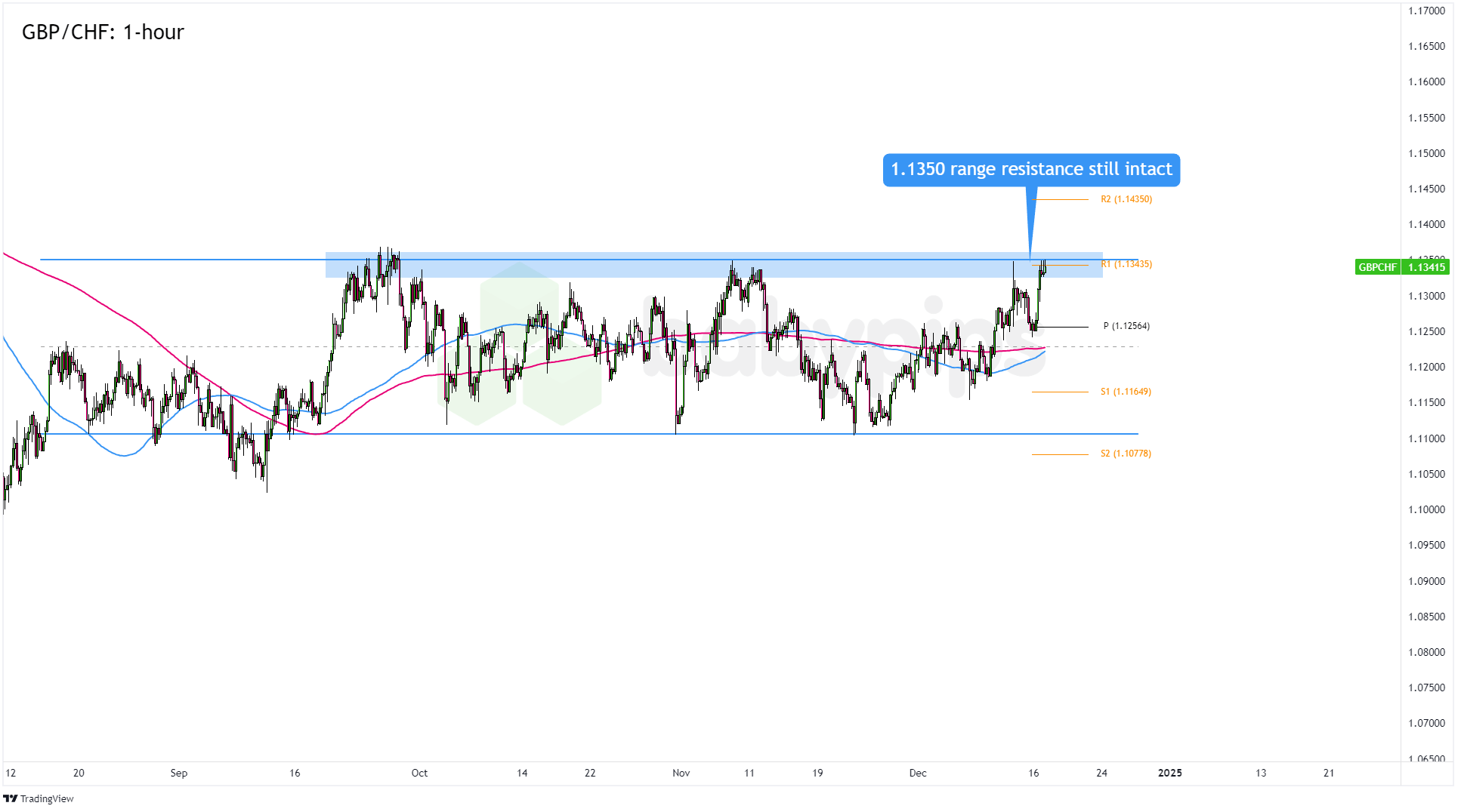 甜!夏日吃瓜,就认伽师瓜